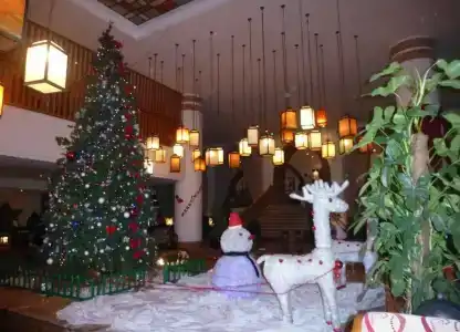 The Grand Sharm El Sheikh - 33