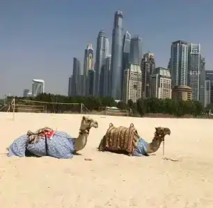 Le Royal Méridien Beach Resort & Spa - 63