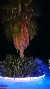 Garcia Resort & Spa - Ultra All Inclusive - 24