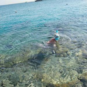 King Tut Aqua Park Beach Resort - 6