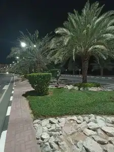 Radisson Resort Ras Al Khaimah Marjan Island - 93