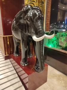 Clifton International - 7