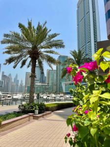 The First Collection Dubai Marina - 19