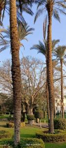 Le Passage Cairo & Casino - 80