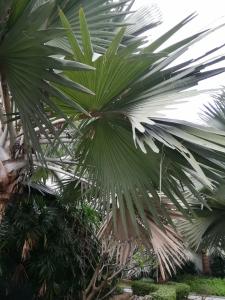 Long Beach Garden & Pavilions - 48