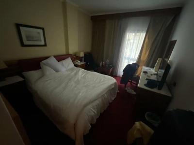 Golden Tulip Flamenco Cairo - 28