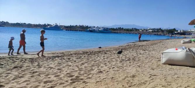 Sunrise Tucana Resort -Grand Select - 77