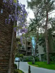 NG Phaselis Bay - 84