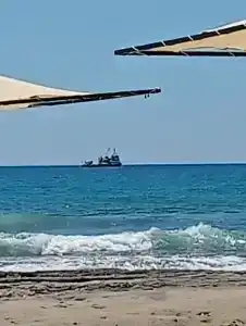 Saritas ONLY FAMILY CONCEPT - 25