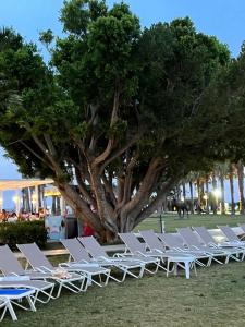 Loxia Comfort Club Side - 43