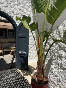 Vintage Alacati - 19