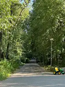 Steigenberger Alcazar - 72