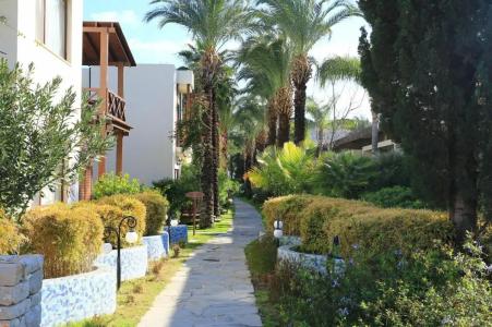 The LifeCo Bodrum Well-Being Detox Center and Vegan - 35