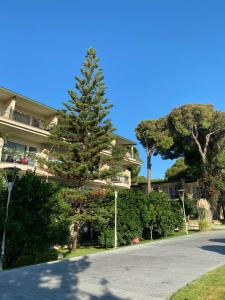 Pine Beach Belek - 91