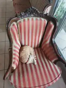 Ozlem Garden - All Inclusive - 53