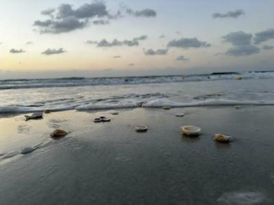 Jumeirah Beach - 67