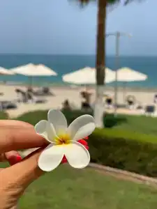 Radisson Blu Resort, Fujairah - 39