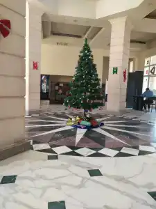 Cataract Layalina Naama Bay - 70