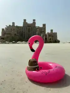 Sheraton Sharjah Beach Resort and Spa - 10