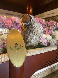 Anantara The Palm Dubai Resort - 72