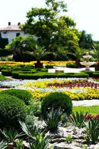 White Rock Castle Suite & SPA - 11