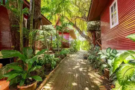 Chaweng Bliss Bungalow - 61