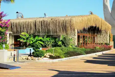 Adenya & Resort Halal All Inclusive - 77
