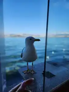 Rixos Pera Istanbul - 37