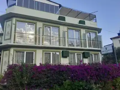 Caretta Caretta - 31