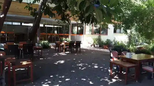 Ayris Çıralı - 21