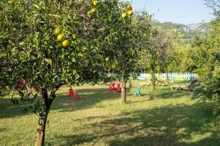 Caretta Caretta Pension - 18