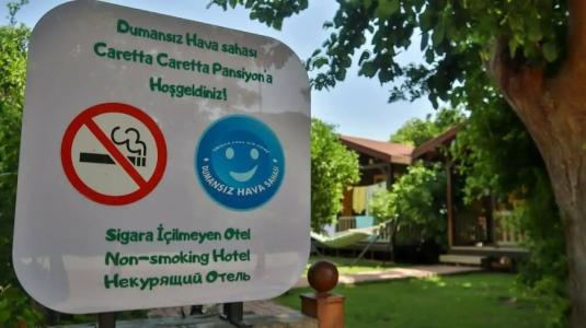 Caretta Caretta Pension - 14