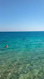 Palm Beach Resort Families and Couples only - 29