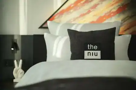 the niu Flash - 9