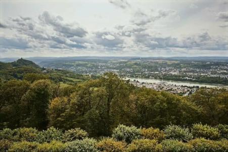 Steigenberger Grand& Spa Petersberg - 11