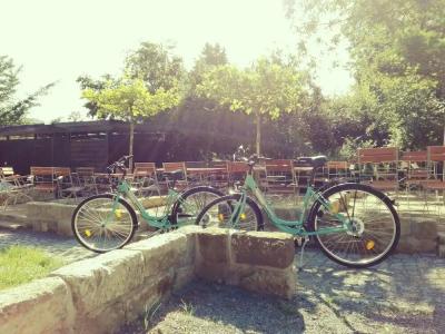 Alttolkewitzer Hof - 53