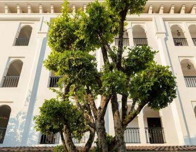 Sarai Resort & Spa and The Wander - 26