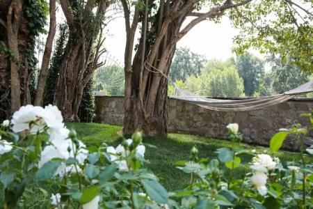 Ville Sull'Arno - 22