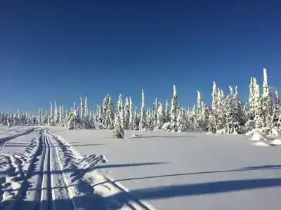 Holiday Club Kuusamon Tropiikki - 61