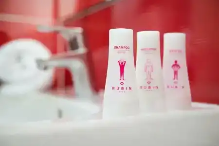 Rubin Wellness & Conference - 28