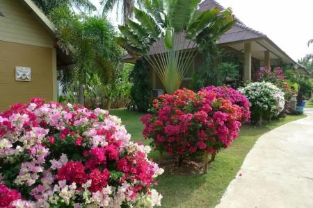 Lanta Castaway Beach Resort - 4