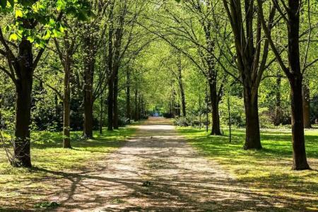 JW Marriott Berlin - 13