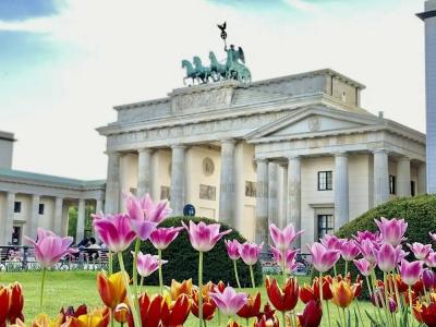 JW Marriott Berlin - 7