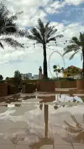 Amwaj Rotana, Jumeirah Beach - Dubai - 43
