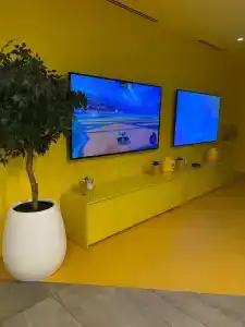 Rove At The Park - 85