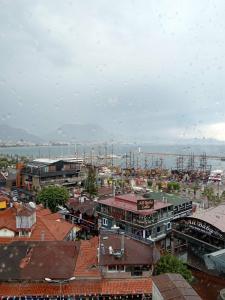 Temiz - 24