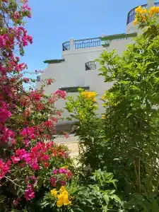 Safir Sharm Waterfalls Resort - 24