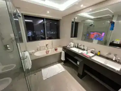 Hyatt Regency Dubai Creek Heights - 14