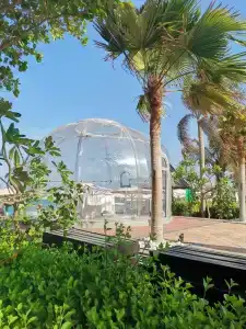 Anantara The Palm Dubai Resort - 78