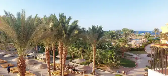 Three Corners Sunny Beach Resort - 18